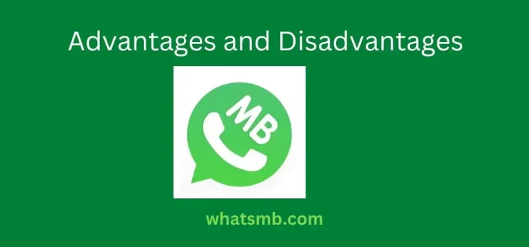 mbwhatsapp-advantages-and-disadvantages (1)